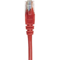 Intellinet Network Solutions Intellinet 737326 RJ45 Netzwerkkabel, Patchkabel CAT 5e U/UTP 0.25m Rot