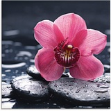 Artland Glasbild »Stillleben mit Kiesel und einer Orchidee«, Blumen, (1 St.), pink