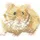 Heritage Crafts Heritage Kreuzstich Set Aida "Hamster (A)", Zählmuster, LFHS1189-A, 6,5x5,5cm