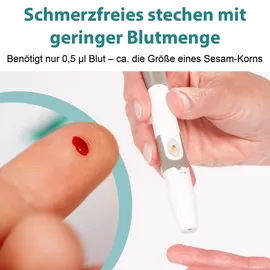 GlucoCheck XL Set [mmol/L] mit 110 Teststreifen zur Kontrolle des Blutzuckers 1 St