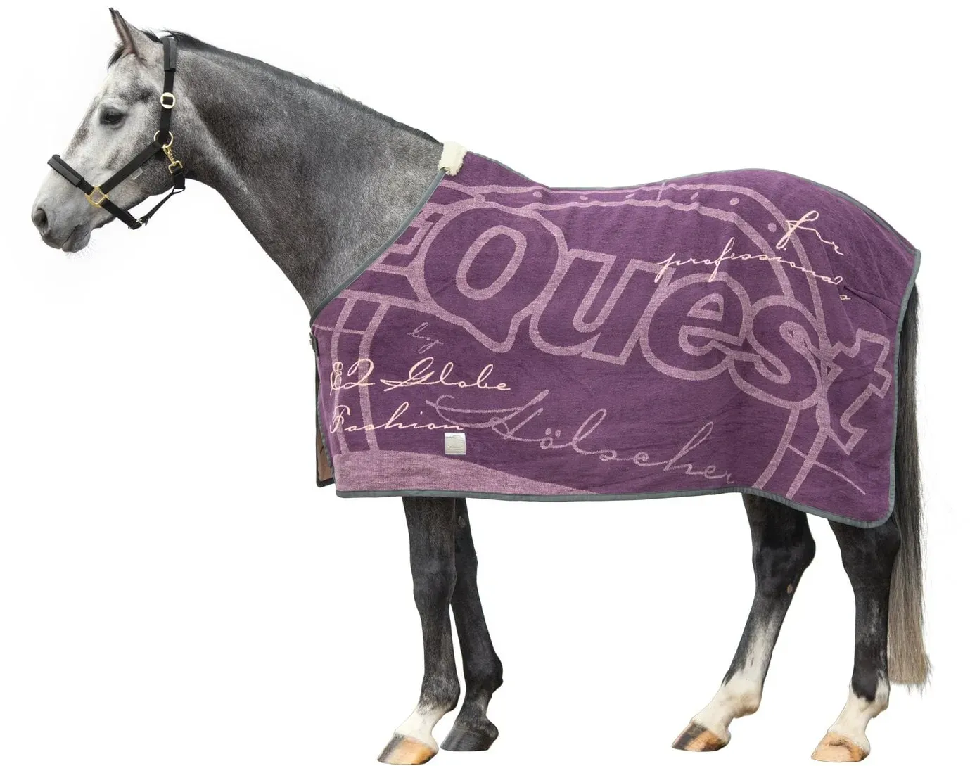 EQUEST Dralondecke Globe aubergine 155 cm