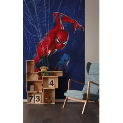 Kindertapete KOMAR "Marvel Spider-Man Spider Web", blau,rot, B:150m H:250m, Vlies, Tapeten