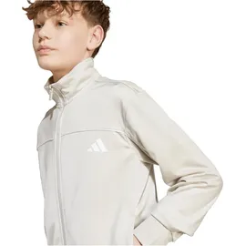 adidas Colour Pop Trainingsanzug Wonder Alumina/White 140