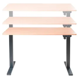 CASANOVA Schreibtisch BARDIA braun / Schwarz