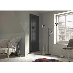 Ximax Raumheizkörper P1 Duplex anthrazit