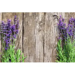 Fototapete PAPERMOON "Blumen an Holzwand", bunt, B:4,00m L:2,60m, Vlies, Tapeten