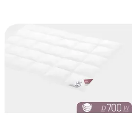 SCHLAFSTIL D700 warm, Füllung: 100% Gänsedaunen, 200x200 cm