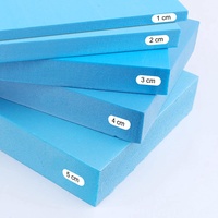 Schaumstoffplatte aus Polyurethan, 50 x 100 cm, Dicke 2 cm, mittlere Dichte D25, Mehrzweckmatratze, Füllung für Sitze, Polsterung, Schaumstoff, Transportkoffer, Blau