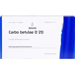 CARBO BETULAE D 20 Ampullen 8 ml