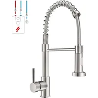 Wasserhahn Küche Niederdruck Küchenarmatur Niederdruckarmatur Mit 2 Wasserstrahl