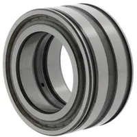 INA Zylinderrollenlager SL04180 DPP