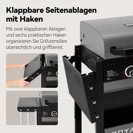 Royal Gourmet 2-Brenner Gasgrill grau