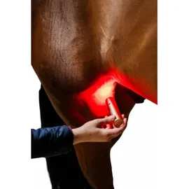Horseware Ireland Therapiestab für LED-Rotlicht-Therapie Copper Onesize