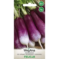 Rettich Felicja 5g Rettichsamen - Vegan