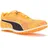 sun stream/sunset glow/puma black 47