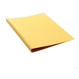 Pagna Ringbuch 2-Ringe gelb