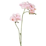 Kunstorchidee Kunst Zweig Phalaenopsis Orchidee VILLANI, rosa-weiß, 65cm Orchidee (Orchidee phalaenopsis), artplants rosa