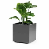 Euro3Plast Greener Kebe 40 x 40 x 40 cm Anthrazit