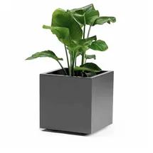 Euro3Plast Greener Kebe 40 x 40 x 40 cm Anthrazit