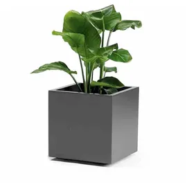 Euro3Plast Greener Kebe 40 x 40 x 40 cm Anthrazit