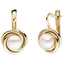 Perlenohrringe JOBO, gold (gelbgold 333), Ohrringe, Damen, Gelbgold 333-Perlen, Gelbgold 333, Perlen, 333 Gold mit Süßwasser-Zuchtperlen