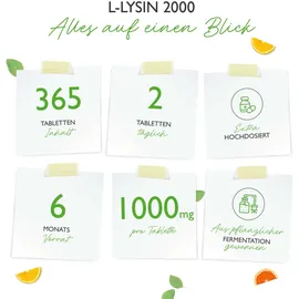 Vit4ever L-Lysin 2000 Tabletten 365 St.