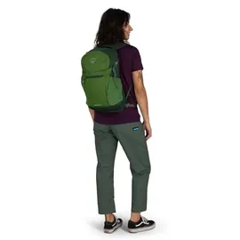 Osprey Daylite Plus green belt/green canopy