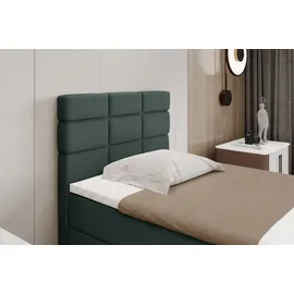 panda möbel Boxspringbett 100x200, mit Bettkast und Topper- dunkelgrün