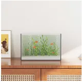 vidaXL Aquarium mit Speicher 12 l Transparent/Weiß