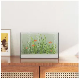vidaXL Aquarium mit Speicher 12 l Transparent/Weiß