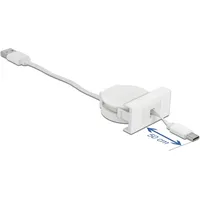 DeLock Easy 45 Modul USB 2.0 Ausrollkabel USB Typ-A zu USB Type-CTM