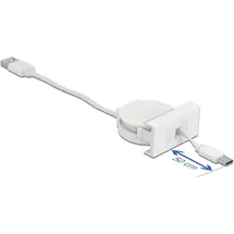 DeLock Easy 45 Modul USB 2.0 Ausrollkabel USB Typ-A zu USB Type-CTM