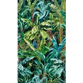 A.S. Création Vliestapete Papagei 1,59 m x 2,00 m 0 g Grün/Blau 39186