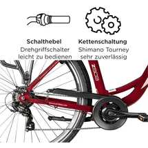 Zündapp Z503 2023 28 Zoll RH 50 cm Damen weinrot
