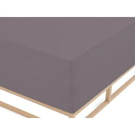 biberna 0077640 Jersey-Elastic-Boxspring 140 x 200 - 160 x 220 cm silbergrau
