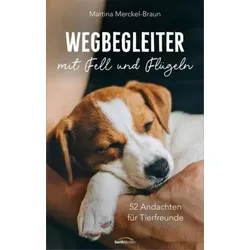 Wegbegleiter mit Fell und Flügeln