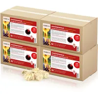 Höfer Chemie 4x 100 pcs. 100 Stk. Anzündwolle