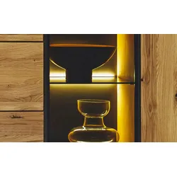 Woodford LED Beleuchtung  Arezzo , schwarz