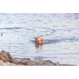 Trixie Aqua Toy Snack-Boje am Seil,