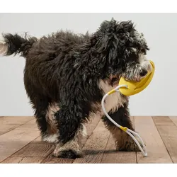 Tchibo - Hunde-Wurf-und-Wasserspielzeug - weiß