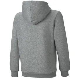 Puma Hoodie Grey 104