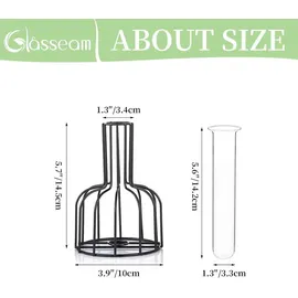 luxuskollektion 2er Set Mini Glasvasen Schwarz - Modernes Hydroponik Blumenvase für