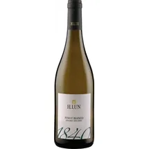 H. Lun Pinot Bianco 2024