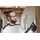 Festool ETSC 2 150 4,0 I-Plus inkl. Transportkoffer