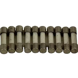 WOLF-Garten Feinsicherung 6,3 A, Träge 8902434 Set a 10 St.