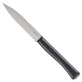 Opinel Intempora Tomatenmesser 10 cm Blau