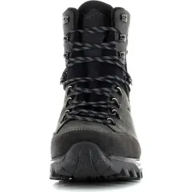 Hanwag Banks Snow GTX Schuhe (Größe 46, grau)