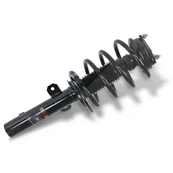 Gh Federbein komplett vorne [Hersteller-Nr. GH-352566C02] für Ford
