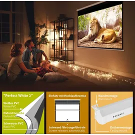 eSmart Germany MIROLO 203 x 152 cm (100") 4:3