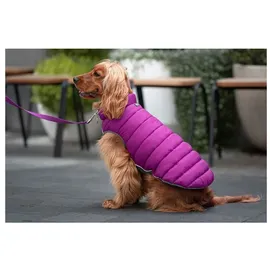 Red Dingo Puffer Hundejacke - Pink / Purple - 40 cm